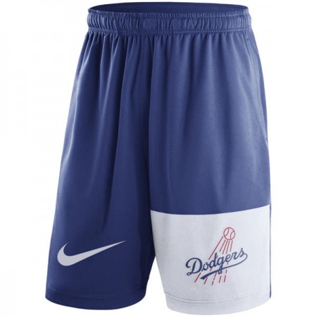 Men's Los Angeles Dodgers Nike Royal Cooperstown Collection Dry Fly Shorts